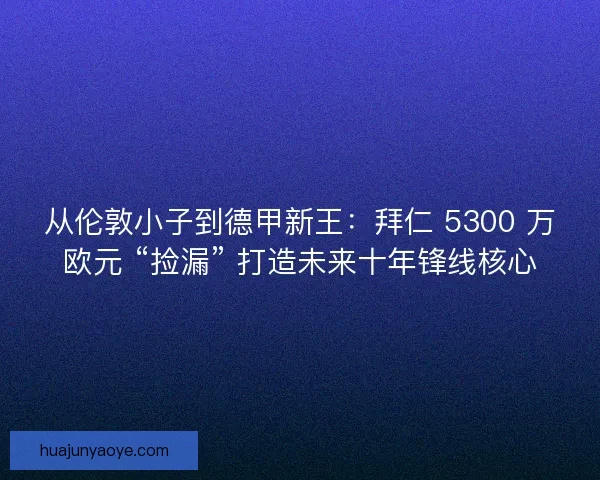 从伦敦小子到德甲新王：拜仁 5300 万欧元 “捡漏” 打造未来十年锋线核心
