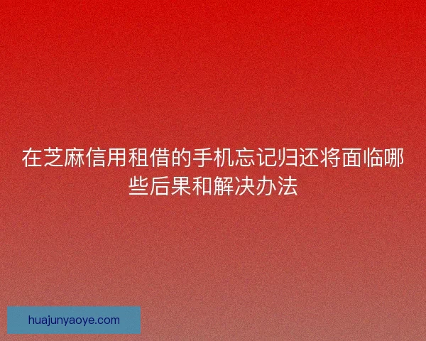 在芝麻信用租借的手机忘记归还将面临哪些后果和解决办法