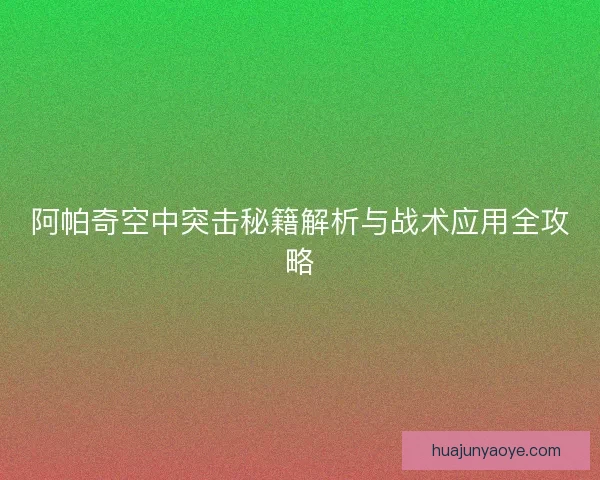 阿帕奇空中突击秘籍解析与战术应用全攻略