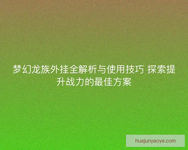 梦幻龙族外挂全解析与使用技巧 探索提升战力的最佳方案
